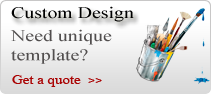 Web Design Consultation