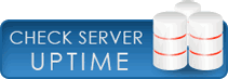 100% Uptime