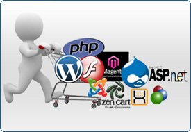 Web Development